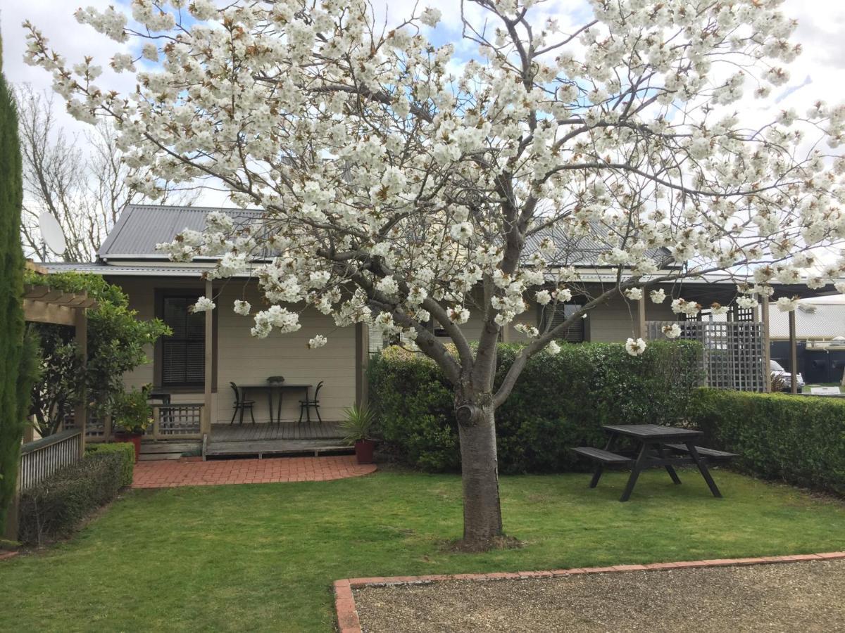 Pinot 4* Martinborough